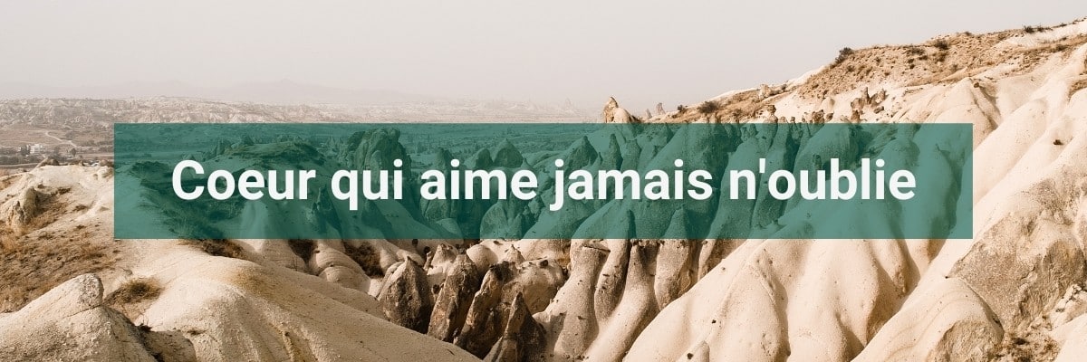 Coeur qui aime jamais n'oublie